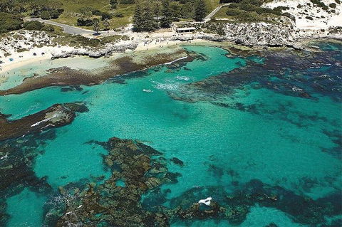 Rottnest Island Bayseeker Day Trip From Fremantle - Tourism Brisbane 4