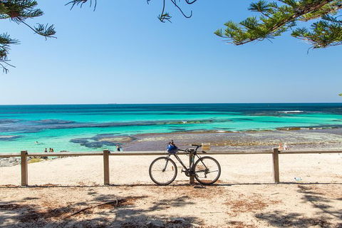 Rottnest Island Bayseeker Day Trip From Fremantle - Tourism Brisbane 7