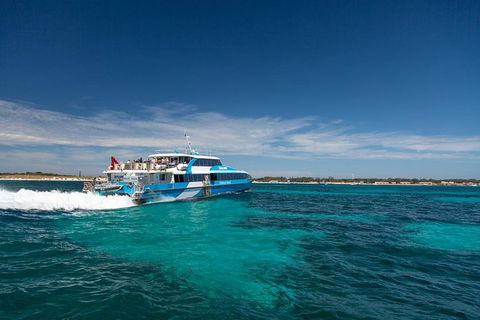 Rottnest Island Oliver Hill Train And Tunnel Day Trip From Fremantle - Tourism Brisbane 1