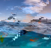 Exclusive Ningaloo Adventure Charter from Exmouth - Brisbane Tourism