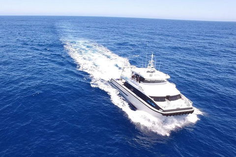 Augusta Whale Watching Eco Tour - Tourism Brisbane 8