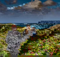 Guided Walks on the Cape to Cape - Wilyabrup Cliffs - Tourism Brisbane