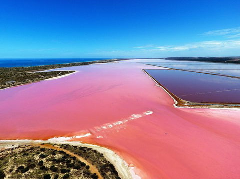 Pink Lake Aerial Flyover From Geraldton - Tourism Brisbane 0