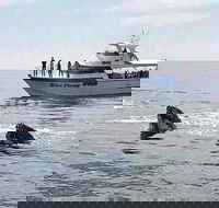 Busselton Whale Watching Eco Tour - Tourism Brisbane
