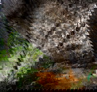 Porongurup Nature  History Eco Tour