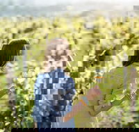5 Hours Wineries Coffee Tasting Forest  Lunch at the Berry Farm - Tourism Brisbane