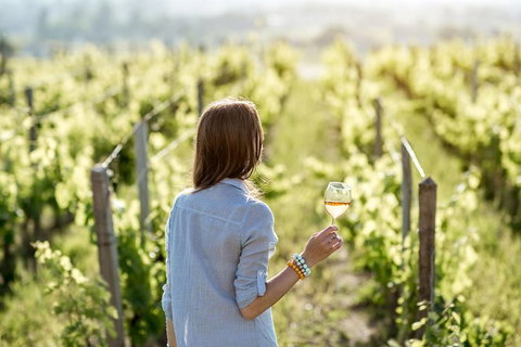 5 Hours Wineries, Coffee Tasting, Forest & Lunch At The Berry Farm - Tourism Brisbane 0