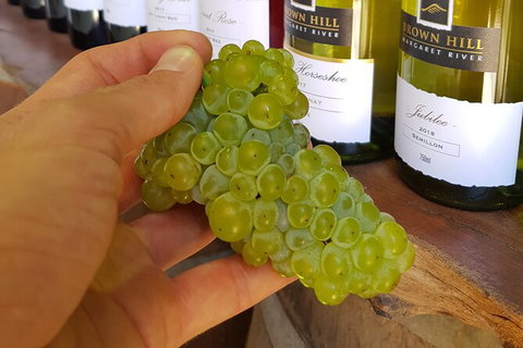 5 Hours Wineries, Coffee Tasting, Forest & Lunch At The Berry Farm - Tourism Brisbane 12