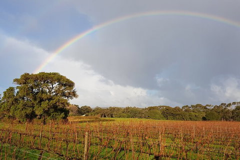 5 Hours Wineries, Coffee Tasting, Forest & Lunch At The Berry Farm - Tourism Brisbane 20