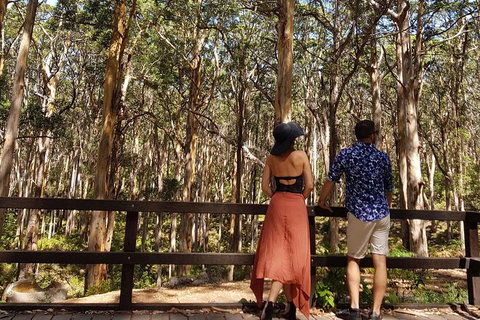 5 Hours Wineries, Coffee Tasting, Forest & Lunch At The Berry Farm - Tourism Brisbane 11
