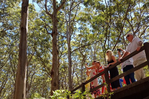 5 Hours Wineries, Coffee Tasting, Forest & Lunch At The Berry Farm - Tourism Brisbane 4