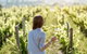 5 Hours Wineries, Coffee Tasting, Forest & Lunch At The Berry Farm - thumb 5