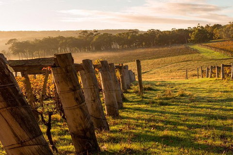 5 Hours Wineries, Coffee Tasting, Forest & Lunch At The Berry Farm - Tourism Brisbane 19