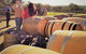 5 Hours Wineries, Coffee Tasting, Forest & Lunch At The Berry Farm - thumb 2