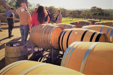 5 Hours Wineries, Coffee Tasting, Forest & Lunch At The Berry Farm - Tourism Brisbane 2