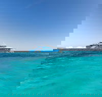 Rottnest Island Settlement Explorer Segway Package from Fremantle - Tourism Brisbane