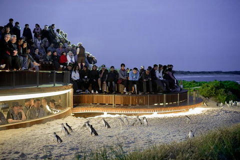 1 Day Private Phillip Island Tour (VIP Charter Up To 9 People) - Tourism Brisbane 0