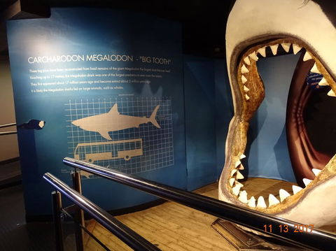 SEA LIFE Melbourne Aquarium Admission Ticket - Tourism Brisbane 10