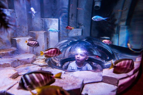 SEA LIFE Melbourne Aquarium Admission Ticket - Tourism Brisbane 0