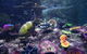 SEA LIFE Melbourne Aquarium Admission Ticket - thumb 8