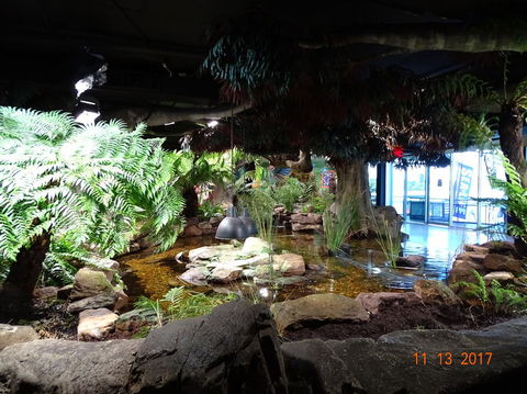SEA LIFE Melbourne Aquarium Admission Ticket - Tourism Brisbane 2