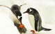 SEA LIFE Melbourne Aquarium Admission Ticket - thumb 15