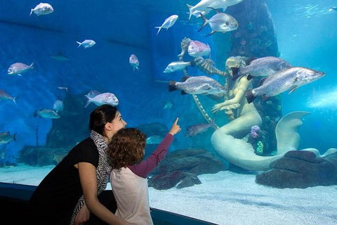SEA LIFE Melbourne Aquarium Admission Ticket - Tourism Brisbane 14