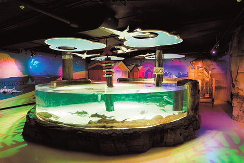 SEA LIFE Melbourne Aquarium Admission Ticket - Tourism Brisbane 27