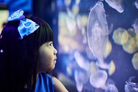 SEA LIFE Melbourne Aquarium Admission Ticket - Tourism Brisbane 17
