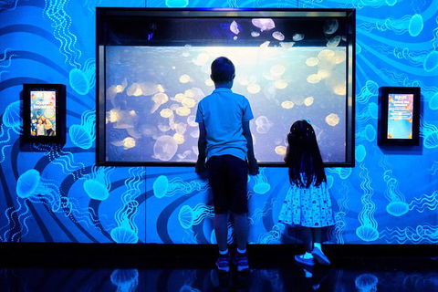 SEA LIFE Melbourne Aquarium Admission Ticket - Tourism Brisbane 18