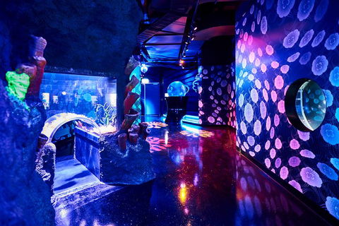 SEA LIFE Melbourne Aquarium Admission Ticket - Tourism Brisbane 13