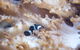SEA LIFE Melbourne Aquarium Admission Ticket - thumb 16