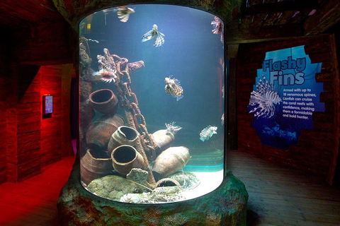 SEA LIFE Melbourne Aquarium Admission Ticket - Tourism Brisbane 23