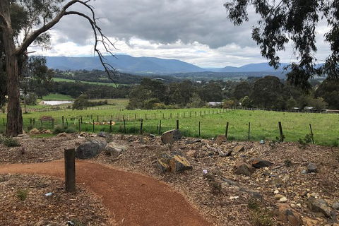 Small Public Yarra Valley Scenic Tour Inc 2 Course Lunch, Wine, Cheese - Tourism Brisbane 1