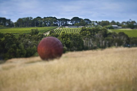 Estate To Plate: Montalto Vineyard Gourmet Lunch And Wine-Tasting Tour - Brisbane Tourism 2