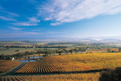 Half Day Yarra Valley Winery Day Trip From Melbourne - Brisbane Tourism 0