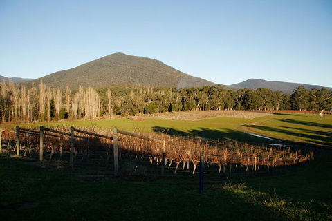 Half Day Yarra Valley Winery Day Trip From Melbourne - Brisbane Tourism 6