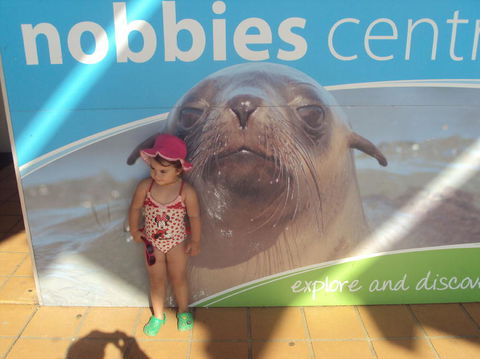 Phillip Island 3 Park Pass: Penguin Parade, Koala Conservation Centre And Penguin Parade, Koala ConservationHeritage Farm - Tourism Brisbane 3