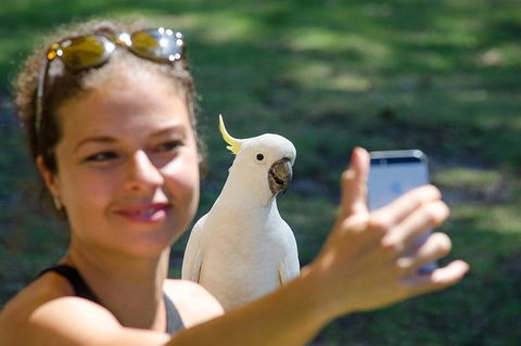 Small-Group Great Ocean Road Tour Experience With Eureka Skydeck Admission - Tourism Brisbane 8