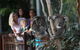 Australian Wildlife Tour At Melbourne Zoo - thumb 0