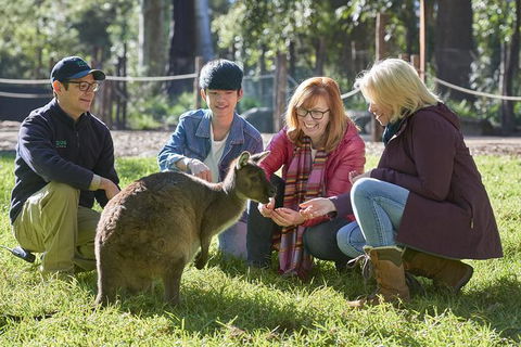 Australian Wildlife Experience At Healesville Sanctuary - Brisbane Tourism 0