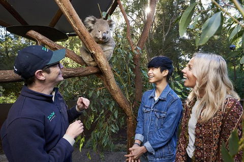 Australian Wildlife Experience At Healesville Sanctuary - Brisbane Tourism 1