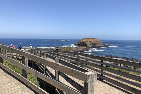 Day Tour Of Phillip Island, The Surrounding Region And Wine Tasting - Tourism Brisbane 14