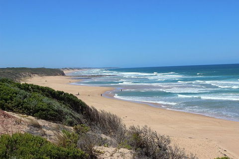 Day Tour Of Phillip Island, The Surrounding Region And Wine Tasting - Tourism Brisbane 5