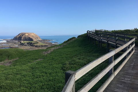 Day Tour Of Phillip Island, The Surrounding Region And Wine Tasting - Tourism Brisbane 11