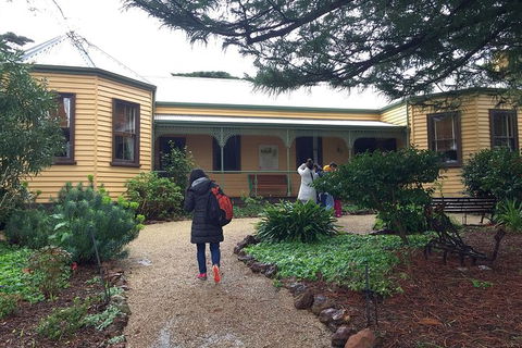 Day Tour Of Phillip Island, The Surrounding Region And Wine Tasting - Tourism Brisbane 12