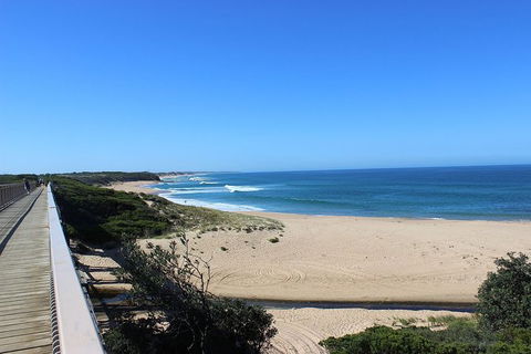 Day Tour Of Phillip Island, The Surrounding Region And Wine Tasting - Tourism Brisbane 4
