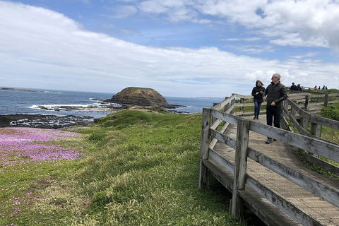 Phillip Island Tour Including Phillip Island Penguin Parade - Tourism Brisbane 10