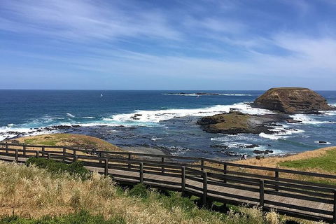 Phillip Island Tour Including Phillip Island Penguin Parade - Tourism Brisbane 6