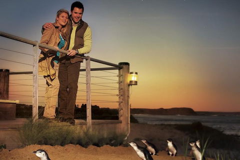 Melbourne Attractions Pass Including Melbourne Zoo, Hop-on Hop-off Bus And SEA LIFE Aquarium - Tourism Brisbane 10